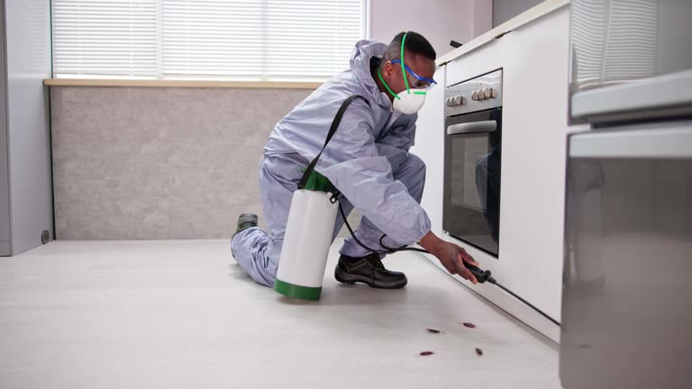 Best Pest Prevention Services  in USA